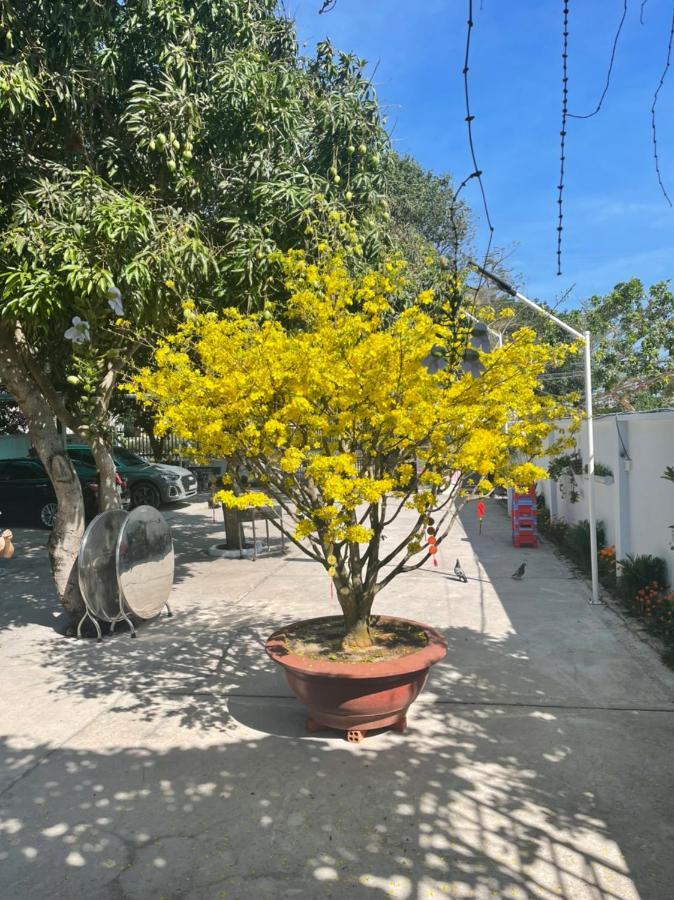 Mango Villa Long Hai Beach Экстерьер фото